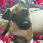 Darcie Miller - @darcie_miller - Instagram