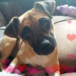 Darcie Miller - @darcie_miller_ - Instagram