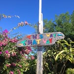 Darcie L. Saunders - @deedarc777 - Instagram