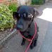 Darcy Thornton - Facebook