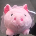 darcy armstrong - @darcy.pig - Instagram