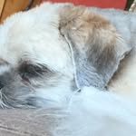 Darcy - @darcy_armstrong_2007 - Instagram