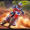 darcy.arnold - @darcy.arnold - TikTok