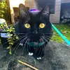 D'Arcy Bishop - @kittypurr_13 - TikTok