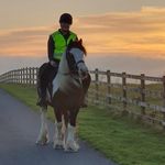 Darcy Carter - @dd_equestrain - Instagram