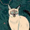darcycarter62 - @darcycarter62 - TikTok