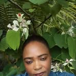 Darcy Coulon - Facebook