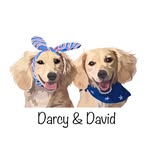 Darcy and David - @daily_dose_of_darcy_and_david - Instagram