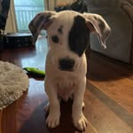D'Arcy David - @dudthespud94 - Instagram