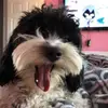 Darcy_diaz25 - @user16640792 - TikTok