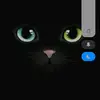 Darcy Diaz - @darcy.diaz0 - TikTok