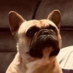 Darcy Ferguson - @darcy_ferguson - Instagram