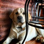 Darcy Ferguson - @fergusondarcy - Instagram