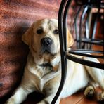 Darcy Ferguson - Facebook