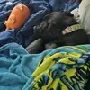 darcyferguson80 - @darcyferguson80 - TikTok