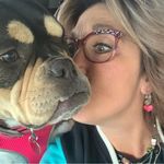 Darcy Fox - @darcy_fox_3 - Instagram