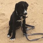 Darcy Fox - @darcy3299 - Instagram