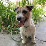 Darcy Fox - @miss_darcy_fox - Instagram