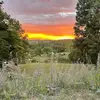 darcygill671 - @darcygill671 - TikTok