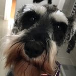 Darcy Gordon - @darcygordon123 - Instagram