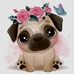 Darcy Harper - Facebook