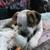 Darcy Frampton - Facebook