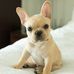 Darcy Headings - Facebook