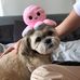 Darcy Heath - Facebook