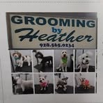 Heather Darcy - Facebook