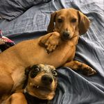 Darcy & Rylie Hoffman - @darcyandrylie - Instagram