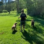 Darcy Hurst - Facebook