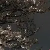 darcy.kelly - @darcykly - TikTok