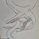 Darcy Lawrence - @darcysartport - Instagram