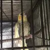 darcy.lawson - @darcy2018 - TikTok