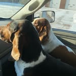 Darcy Leclair - @lobsterman069 - Instagram