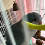 Darcy Li - Facebook