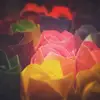 Darcyli - @jingli380 - TikTok
