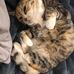 Darcy Ling - Facebook