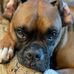 Darcy Long - Facebook