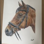 Darcy longford - @darcy_longford - Instagram