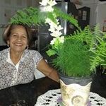 Darcy Maciel Santos - @darcymacielsantos - Instagram