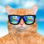 Darcy MacKenzie - @darcy.mackenzie - Instagram