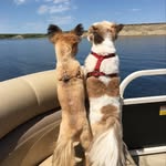 Darcy MacLeod - @darcy.macleod - Instagram