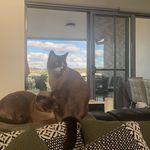 Darcy Magee - @darcymagee - Instagram
