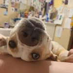 Darb - @darcybluemaher - Instagram