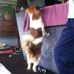 Darcy Maher - Facebook