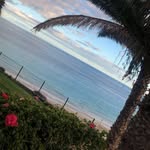 Darcy - @darcymanning2013 - Instagram