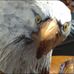 Darcy Mann - Facebook