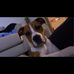 Darcy May - Facebook