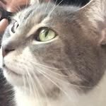 darcy mccarthy - @darcys0nlyig - Instagram